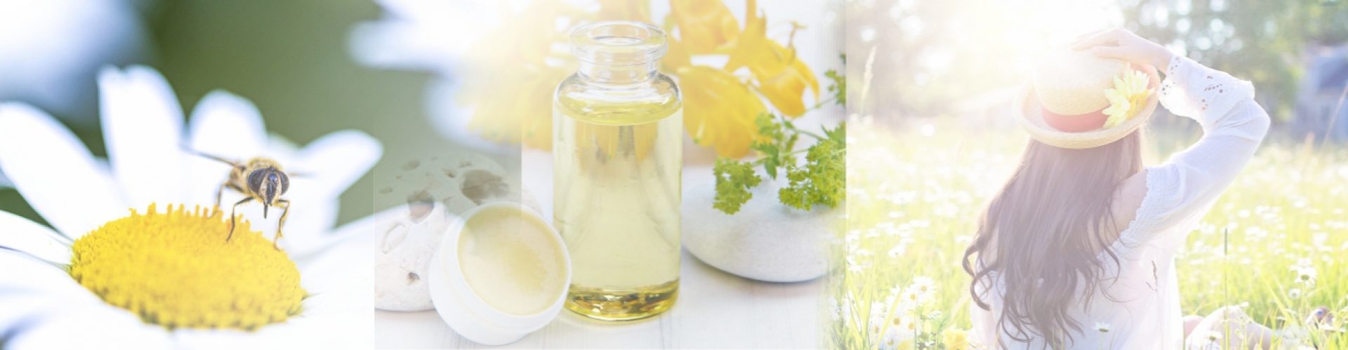 Bee on a daisy and natural skincare products and woman in sun
